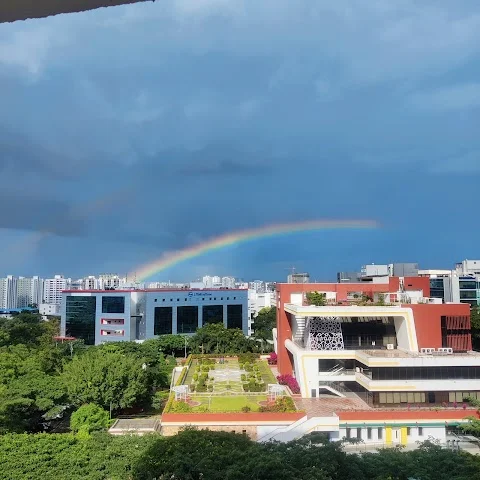 2 BHK Flat for Rent in Hinjewadi Phase 1