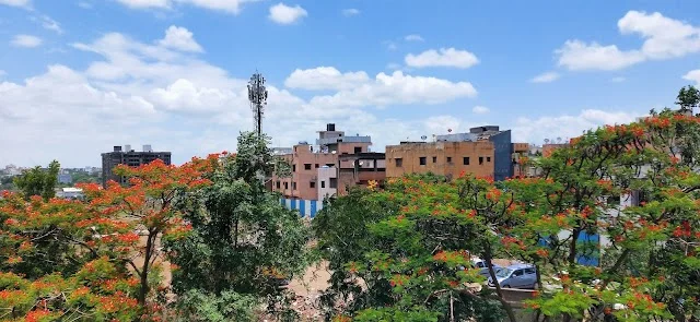 3 BHK Flat for Rent in Wagholi