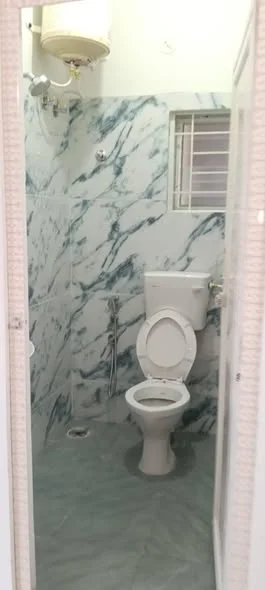 1 BHK Flat for Rent in bomanahalli