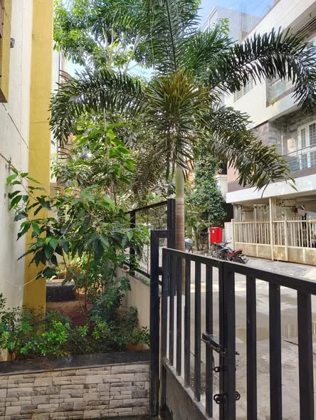 1 BHK Flat for Rent in Shri Ganesh colony