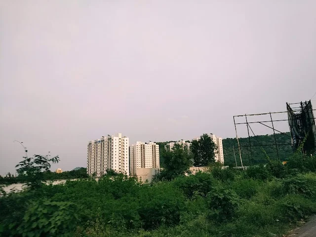 1 BHK Flat for Rent in Hinjewadi Phase 3