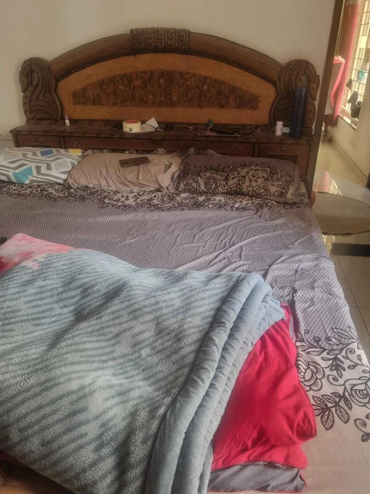 2 BHK Flat for Rent in Hinjewadi