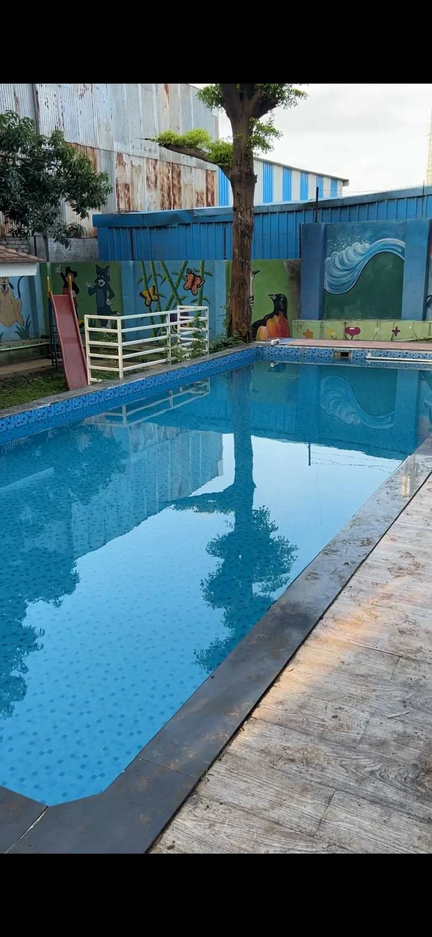 1 BHK Flat for Sale in Undri