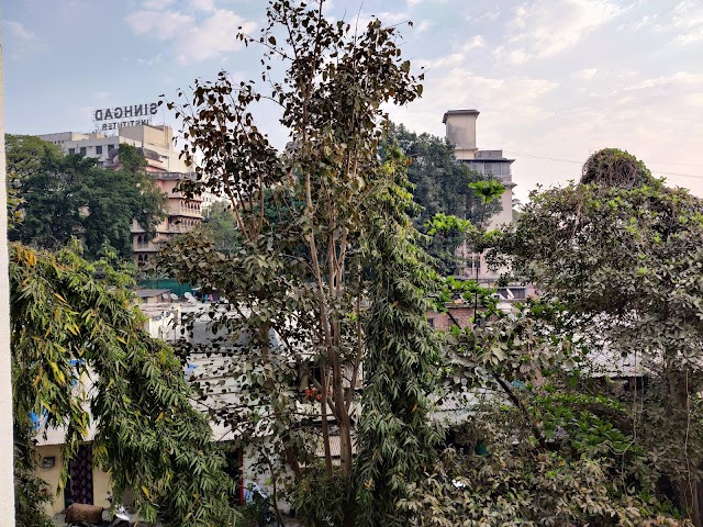 1 BHK Flat for Rent in Mumbai