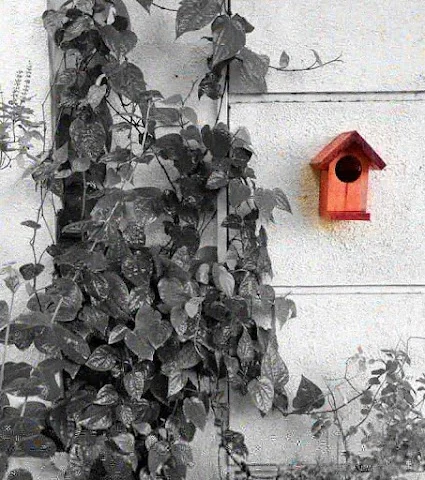 4 BHK Independent House for Rent in Mumbai