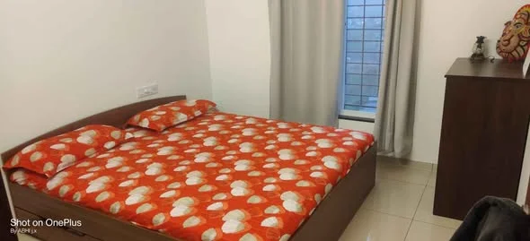 1 BHK Flat for Rent in MULSHI