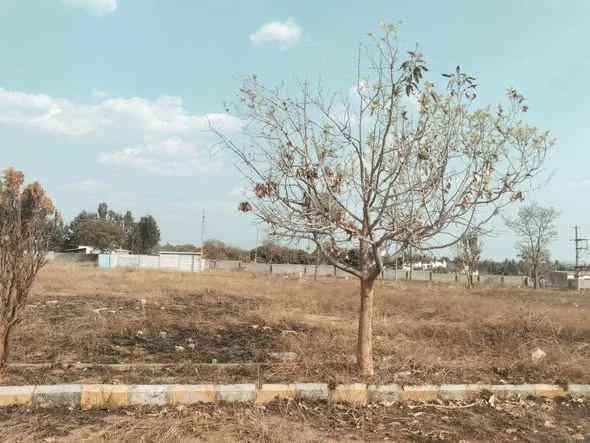 Residential Plot for Sale in IVC Road Neraganahalli