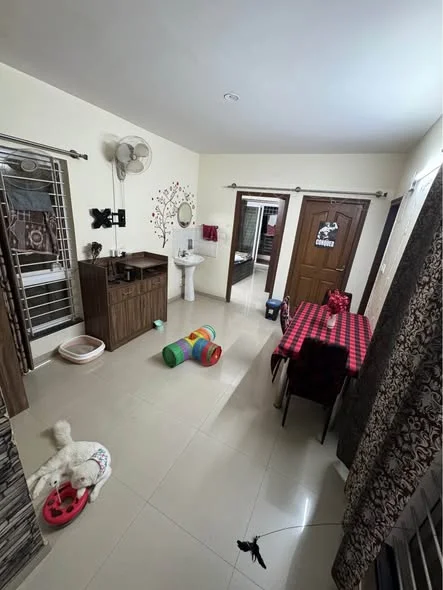 Single Occupancy  for Male in 2 BHK Flat for Rent in Old Mangammanapalya Rd