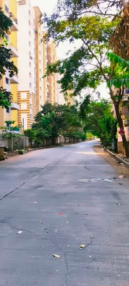 1 BHK Flat for Sale in Pune