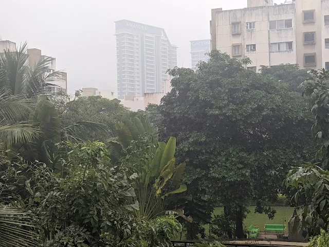 1 BHK Flat for Rent near Amanora