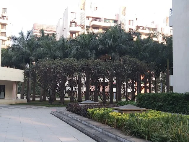 2 BHK Flat for Rent in Magarpatta