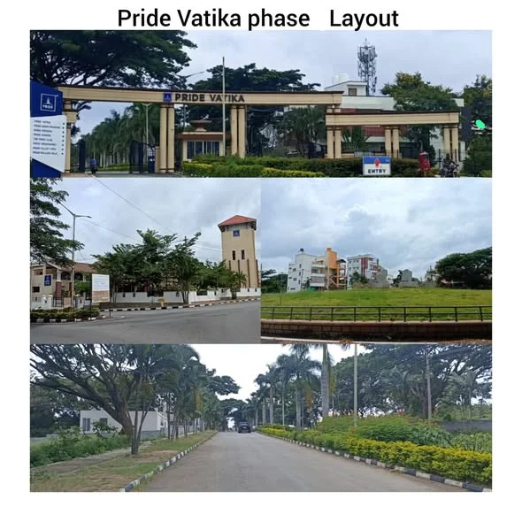 Residential Plot for Sale in Koppa gate