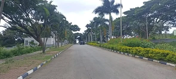 Residential Plot for Sale in Koppa gate