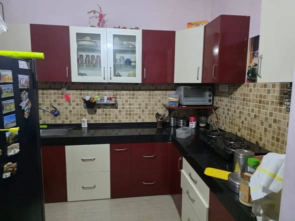 1 BHK Flat for Rent in Balewadi