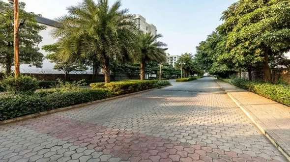 2 BHK Flat for Rent in Wagholi