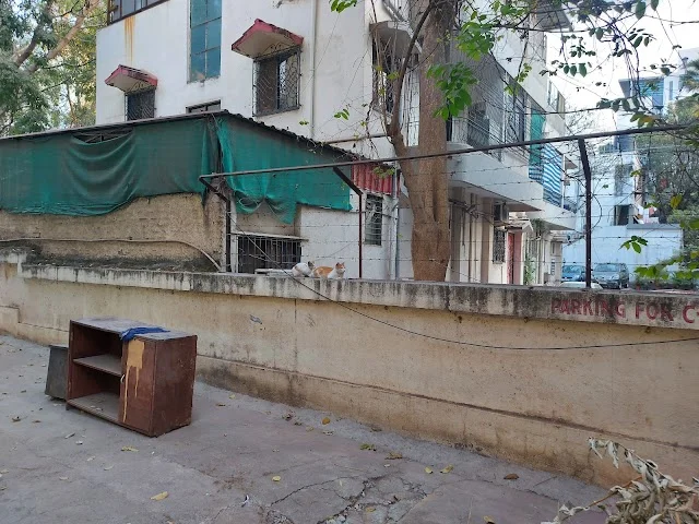 1 BHK Flat for Rent in Viman Nagar