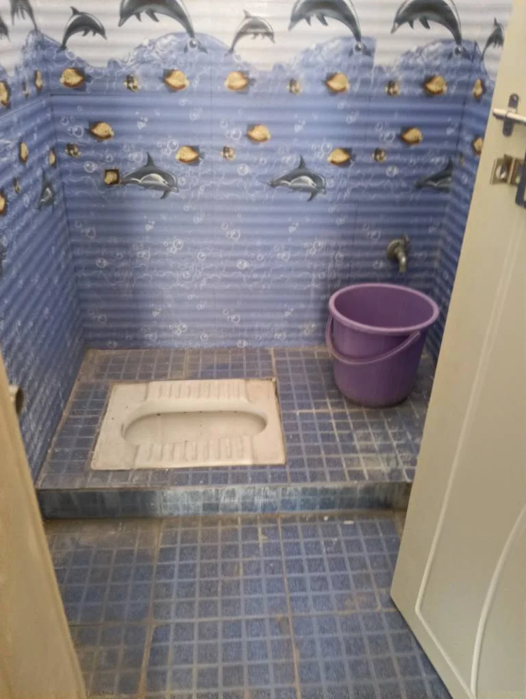 1 BHK Flat for Rent near Durgam cheruvu metro station madhapur