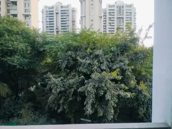 2 BHK Flat for Sale in Magarpatta