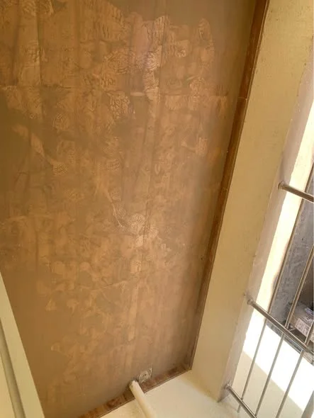 1 BHK Flat for Rent in Keshav nahar mundhwa