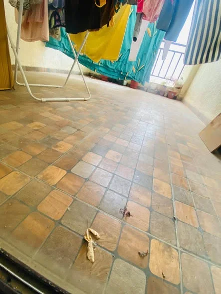 2 BHK Flat for Rent in Bakori Phata Wagholi