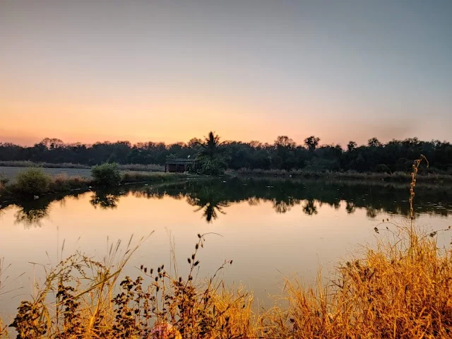 Flat for Sale Near silver park