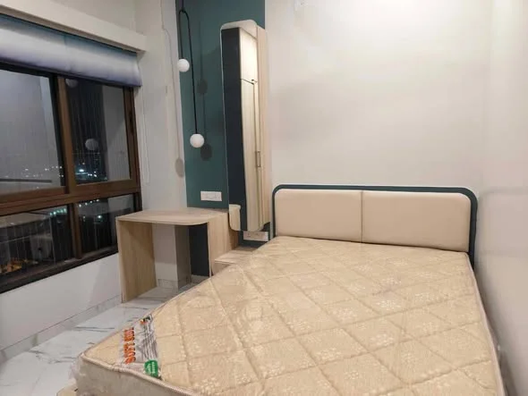 1 BHK Flat for Rent in Balewadi High Street