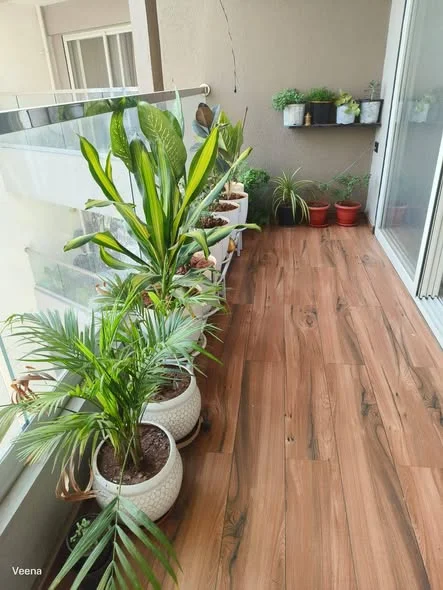 2 BHK Flat for Rent in Amarillo - Hinjewadi phase - 1 Bhumkar Das Gugre Rd