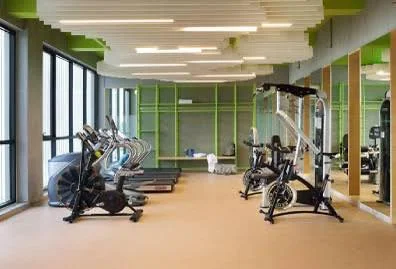 Single Occupancy in 3 BHK Flat for Rent in Goyal Orchid