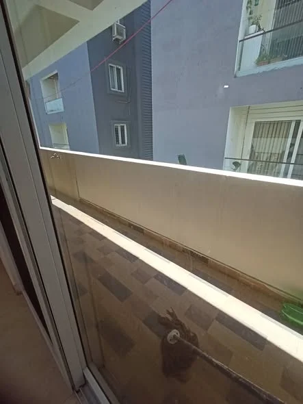 2 BHK Flat for Rent in kondapur sriram nagar colony Botanical Garden road