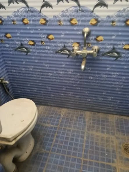 1 BHK Flat for Rent in Durgam cheruvu metro station madhapur