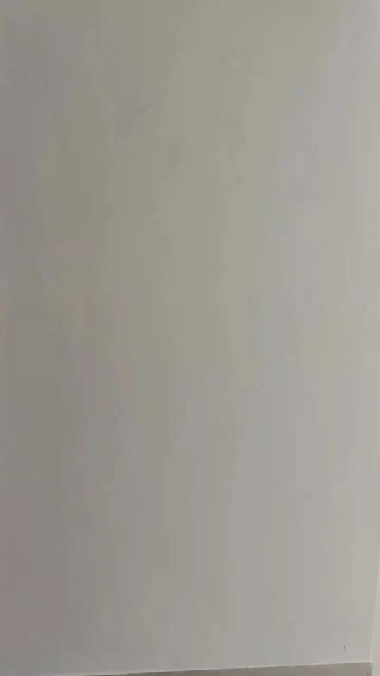 2 BHK Flat for Sale in Wakad