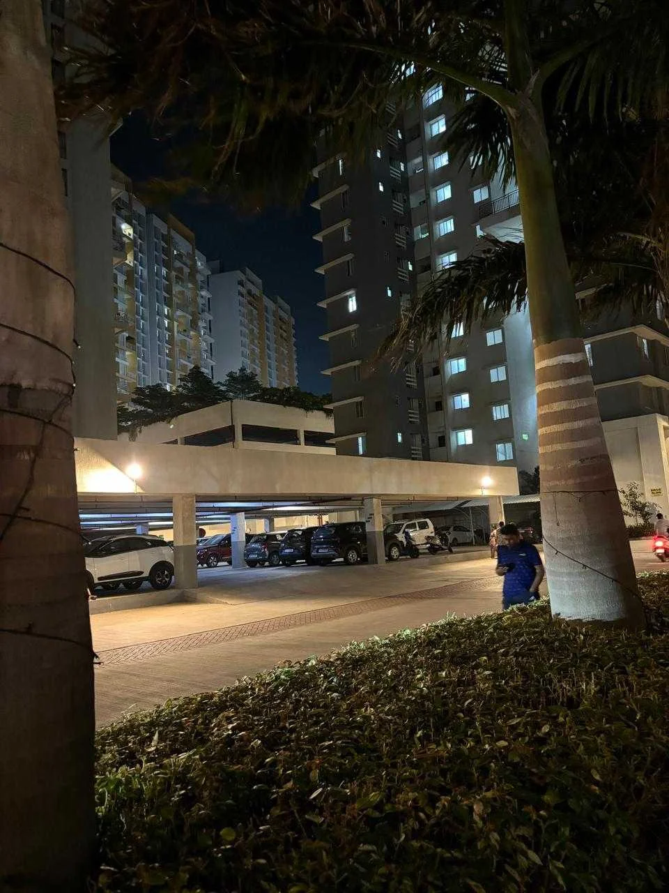 2 BHK Flat for Rent in Hinjewadi