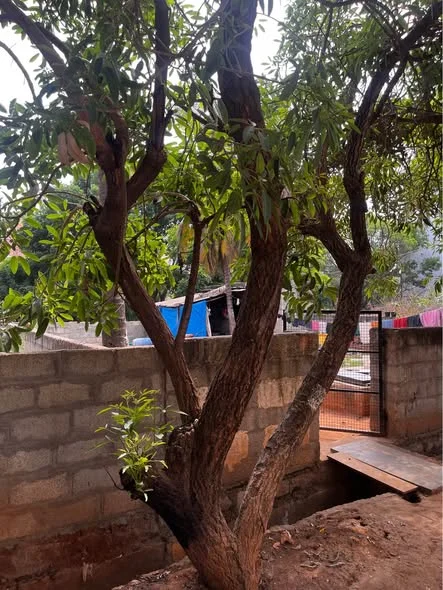 Residential Plot for Sale in Jakkur Winn Field Gardens