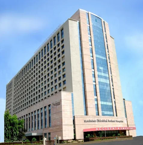 1 BHK Flat for Rent Near Kokilaben hospital