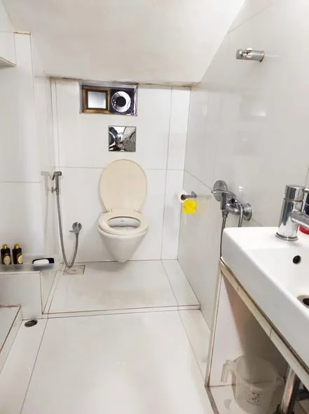 1 BHK Flat for Rent in Worli