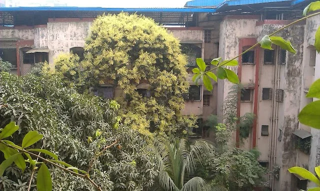 1 BHK Flat for Rent in Kharghar Sector 11