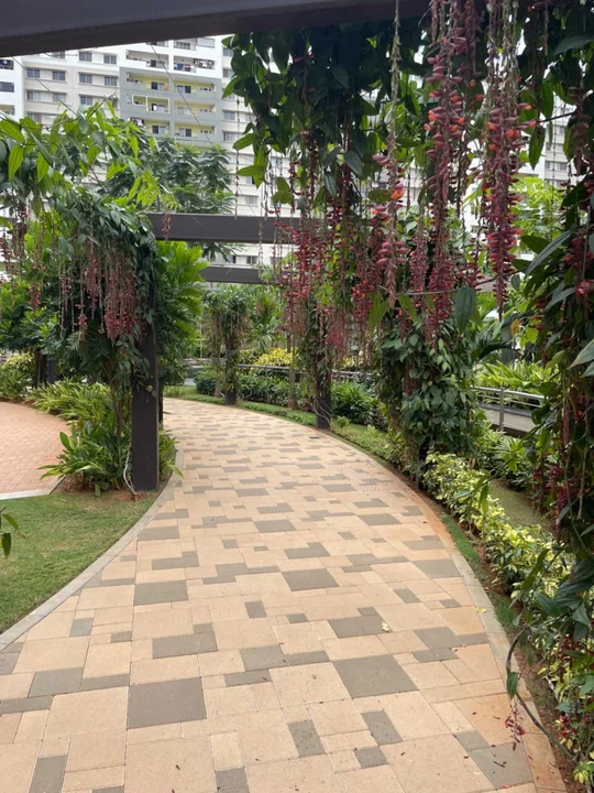 2 BHK Flat for Rent in Varthur