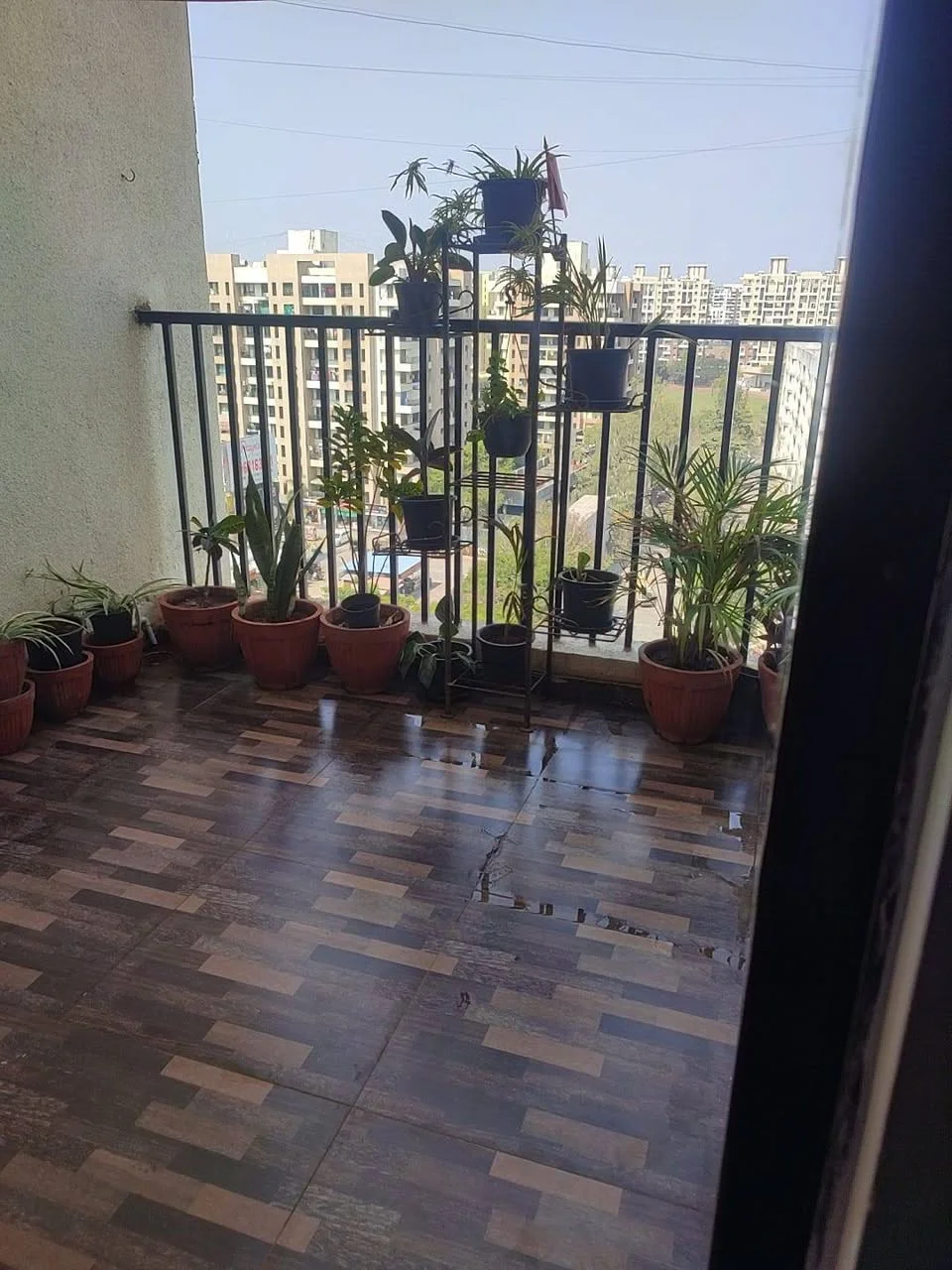 1 BHK Flat for Rent in Wagholi