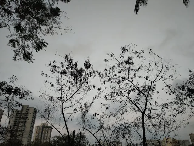 1 BHK Flat for Rent in Seven bunglow,Andheri west