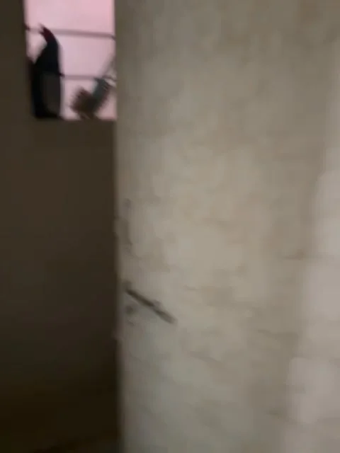 2 BHK Flat for Rent in DP Road Kothrud Near Ashish Garden Chauk