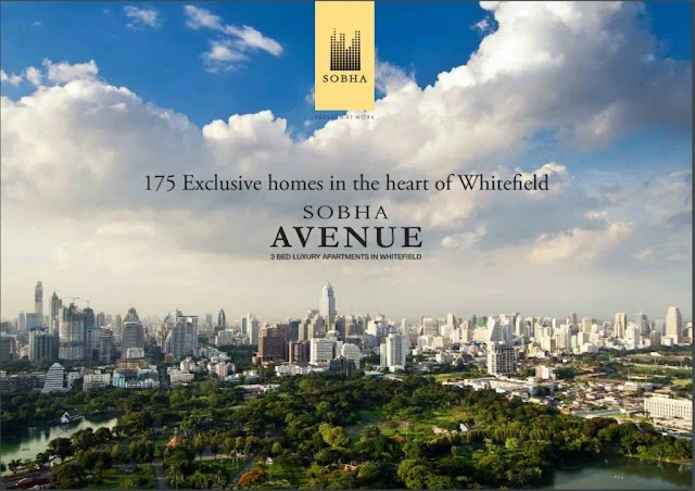 3 BHK Flat for Rent in Sobha Avenue