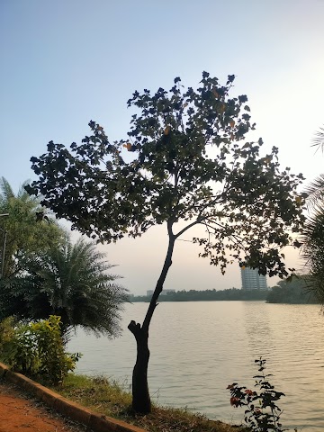 4 BHK Flat for Sale in Jakkur lake