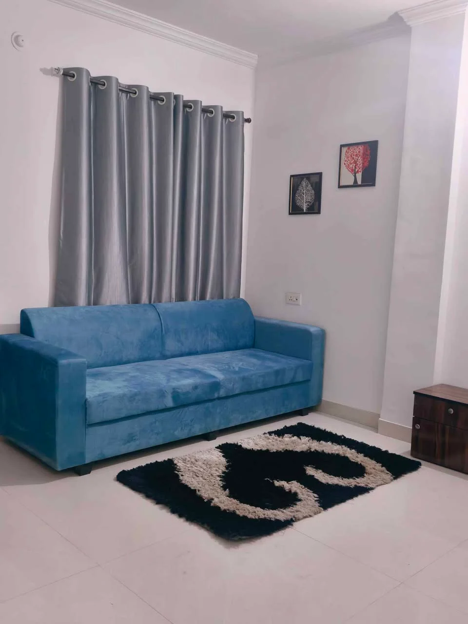 1 BHK Flat for Rent in Wadgaon Sheri