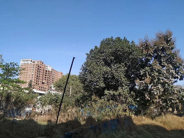 4 BHK Flat for Rent in Whitefield