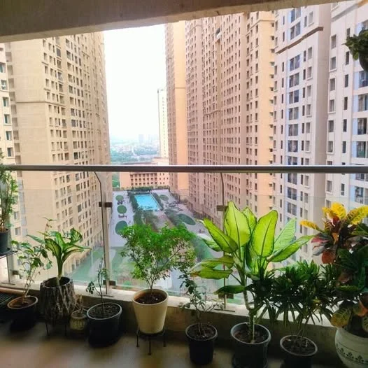 3 BHK Flat for Sale in ABC Podium