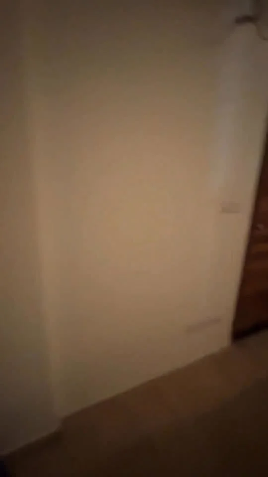 Single Occupancy in 3 BHK Flat for Rent in DLF Westend Heights