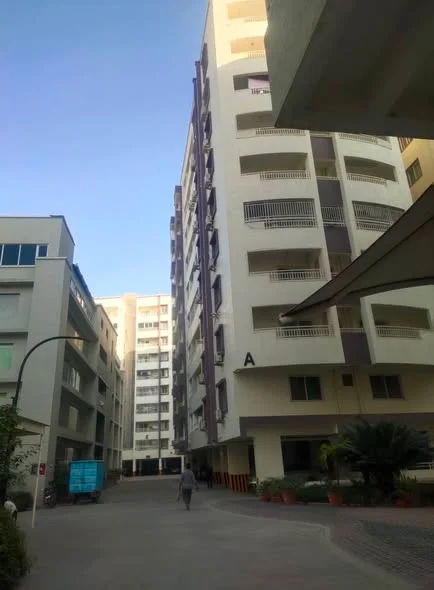 3 BHK Flat for Rent in madhapur hyderabad
