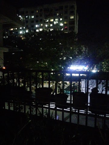 1 BHK Flat for Rent in Wagholi