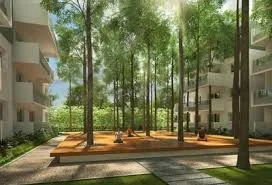 3 BHK Flat for Rent in Mana Tropicale Residents Welfare Association