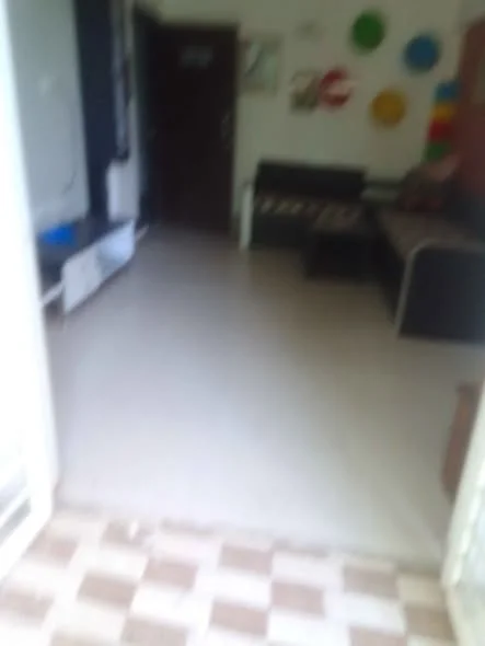 1 BHK Flat for Rent in Punawale